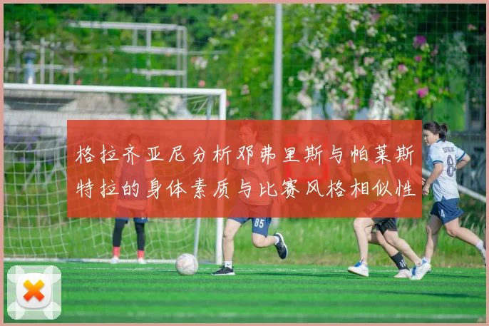 格拉齐亚尼分析邓弗里斯与帕莱斯特拉的身体素质与比赛风格相似性
